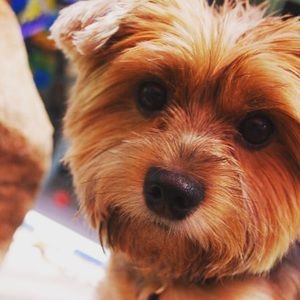 Meet your Posher, Kristina